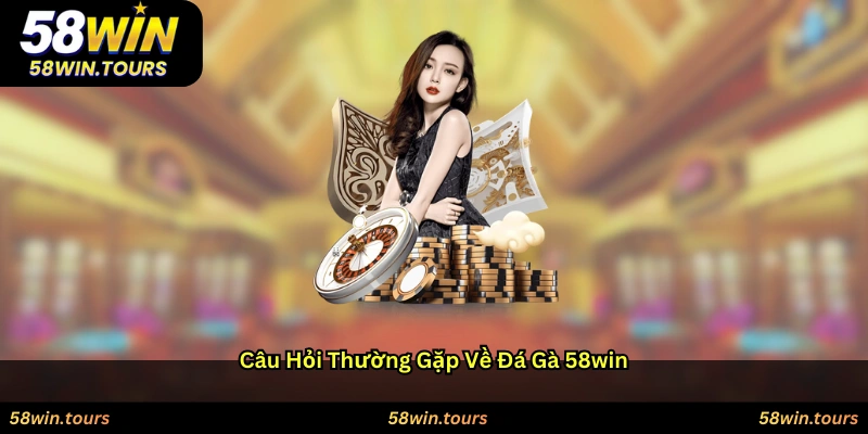Câu hỏi thường gặp về đá gà 58WIN