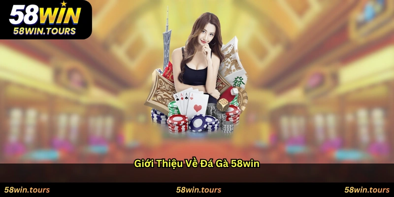 Giới thiệu về đá gà 58WIN