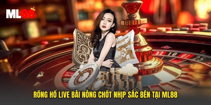 Rồng Hổ Live Bài Nóng Chốt Nhịp Sắc Bén Tại ML88